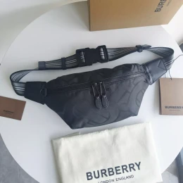 burberry aaa qualite sacs ceinture pour unisexe s_1275a34